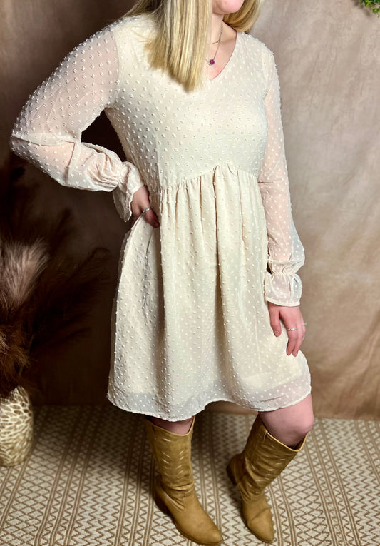 Swiss Dot Long Sleeve Dress